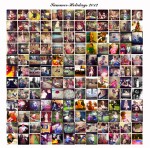 Summer Holidays Montage